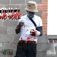 No Voice - Single by Drippa album reviews, ratings, credits