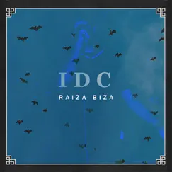 IDC - Single by RAIZA BIZA album reviews, ratings, credits