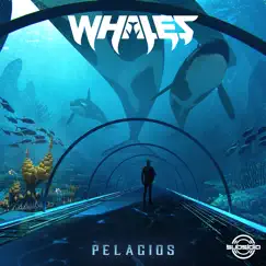 Pelagios by Whales album reviews, ratings, credits