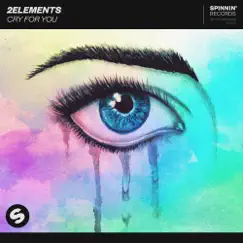 Cry For You - Single by 2Elements album reviews, ratings, credits