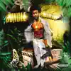 Jungle - Single album lyrics, reviews, download