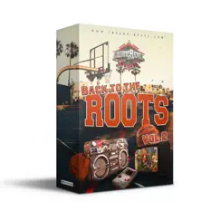 Back To the Roots Vol. 2 - Beat Tape by InsaneBeatz album reviews, ratings, credits