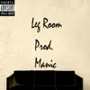 Leg Room - Single album lyrics, reviews, download