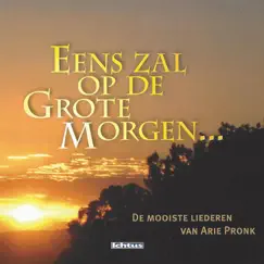 Kom in mijn hart , o Jesu klein (feat. Martin Mans, Kees Alers & Marjolein de Wit) Song Lyrics