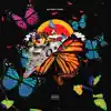 Butterfly Coupe (feat. Yung Bans, Playboi Carti) - Single album lyrics, reviews, download