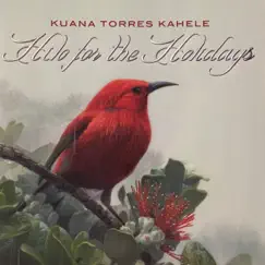 Hilo for the Holidays Song Lyrics