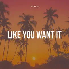 Like You Want It Song Lyrics