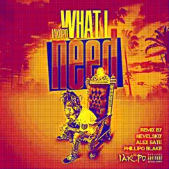 What I Need (Nevelskiy, Alex Sate & Phillipo Blake Remix) Song Lyrics
