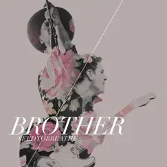 Brother (feat. Gavin DeGraw) Song Lyrics