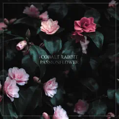 Passionflower - Single by Cobalt Rabbit album reviews, ratings, credits