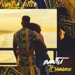 Just a Little (feat. Shungudzo) - Single by Bantu album reviews, ratings, credits
