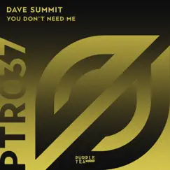 You Don't Need Me - Single by Dave Summit album reviews, ratings, credits