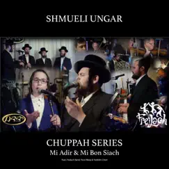 Chuppah Series - Mi Adir & Mi Bon Siach (feat. Freilach Band, Yossi Weiss & Yedidim Choir) - Single by Shmueli Ungar album reviews, ratings, credits