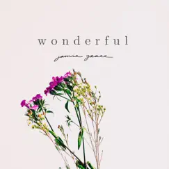 Wonderful - Single by Jamie Grace album reviews, ratings, credits