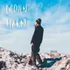 Bodily Harm - Single album lyrics, reviews, download