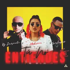 Tu No Entiendes (feat. Milena Dominique & Sirlopez) - Single by DJ Zarnoti album reviews, ratings, credits