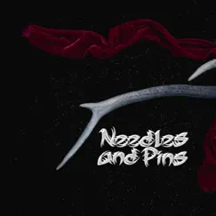 In the Maze - Single by Needles and Pins album reviews, ratings, credits