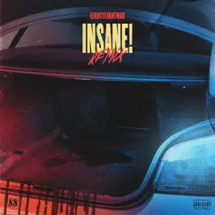 INSANE! (Tc-5 Remix) Song Lyrics