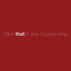 Stick That in Your Country Song Song Lyrics