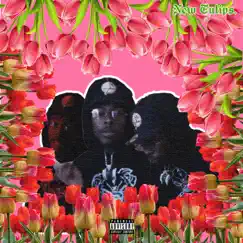 New Tulips - Single by Bishop Nehru album reviews, ratings, credits