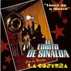 El Toro Viejo Song Lyrics