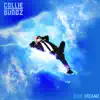 Blue Dreamz album lyrics, reviews, download