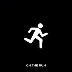 On the Run - Single by Chris Webby album reviews, ratings, credits
