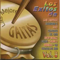 Las Mejores Gaitas, Vol. 3 by Various Artists album reviews, ratings, credits