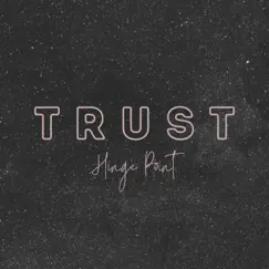 Trust - Single by Hinge Point album reviews, ratings, credits