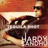 Tequila Shot - Single album lyrics, reviews, download