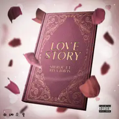 Love Story (feat. Riya Davis) Song Lyrics
