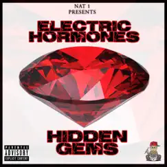 Hidden Gems Life Line - Single by Nat 1 album reviews, ratings, credits