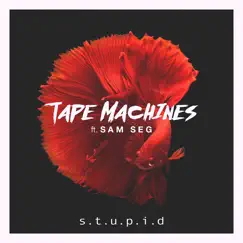 S.T.U.P.I.D (feat. Sam Seg) - Single by Tape Machines album reviews, ratings, credits