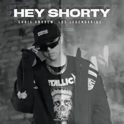 Hey Shorty - Single by Chris Andrew album reviews, ratings, credits