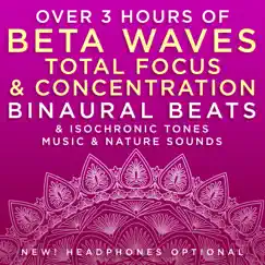 Beta Brainwaves Study Music - 20.6 Hz Beta Frequency Binaural Beats Song Lyrics