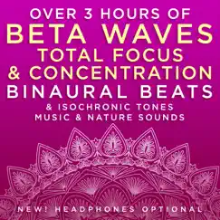 Strong Memory Recall - 20.6 Hz Beta Frequency Binaural Beats Song Lyrics