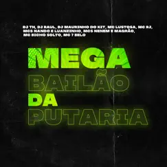 Mega Bailão da Putaria Song Lyrics