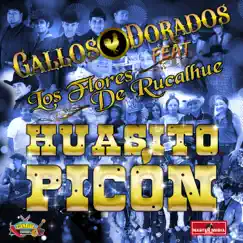 Huasito Picón (feat. Los Flores de Rucalhue) Song Lyrics