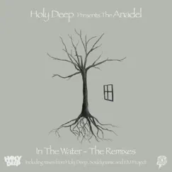 Holy Deep presents the Anadel - in the Water Remixes - EP by Anadel album reviews, ratings, credits
