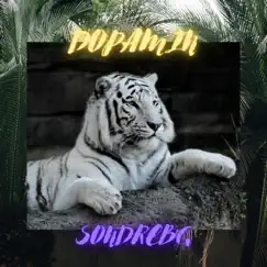 Dopamin - Single by Sondrebg album reviews, ratings, credits