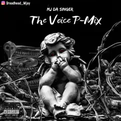 The Voice P-Mix (P-Mix) - Single by Pcmg album reviews, ratings, credits