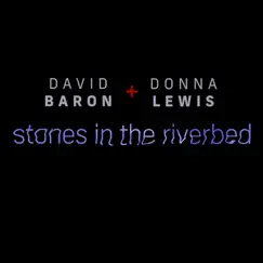 Stones In the River Bed - Single by David Baron & Donna Lewis album reviews, ratings, credits