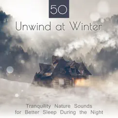 Deep Winter Sleep (Tranquil Rain) Song Lyrics