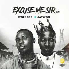 Excuse Me Sir (feat. Jaywon) - Single by Wole DSB album reviews, ratings, credits