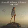 New Land (feat. Skveezy) - Single album lyrics, reviews, download