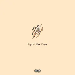 Eye of the Tiger - Single by Micel O album reviews, ratings, credits