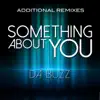 Something About You (Additional Remixes) - Single album lyrics, reviews, download