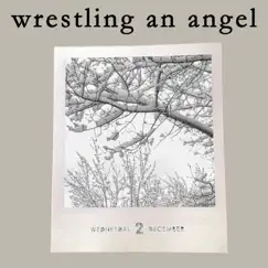 Wrestling an Angel Song Lyrics