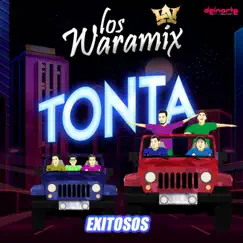 Tonta - Single by Los Waramix, Fiesta Latina & Musica Para Bailar album reviews, ratings, credits
