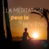 La méditation pour le bien-être: Musique curative, Soulagement du stress, Paix intérieure et relaxation toute la journée album lyrics, reviews, download